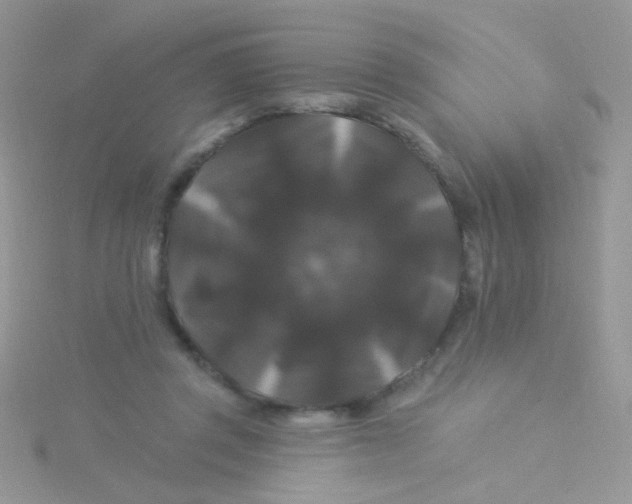 X0000115320357200911231355