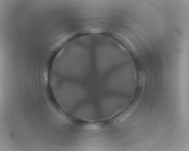 X0000115320358200911231355