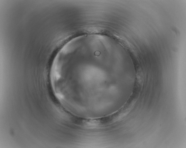 X0000115320359200911231355