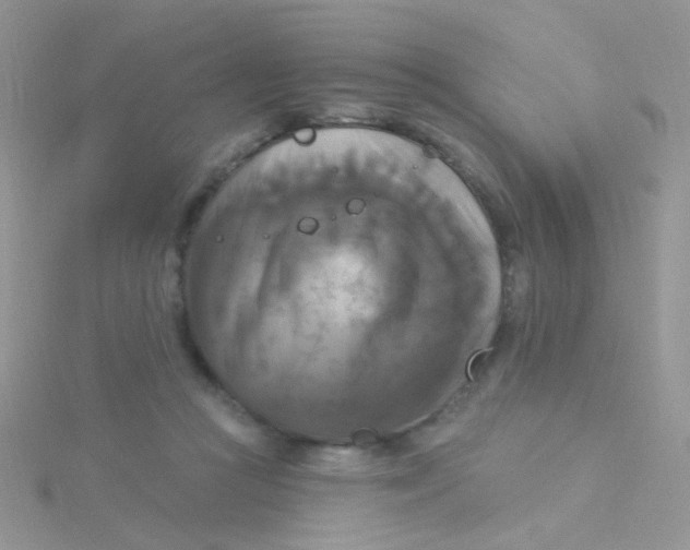 X0000115320361200911231355