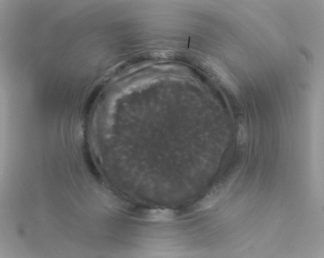 X0000115320363200911231355