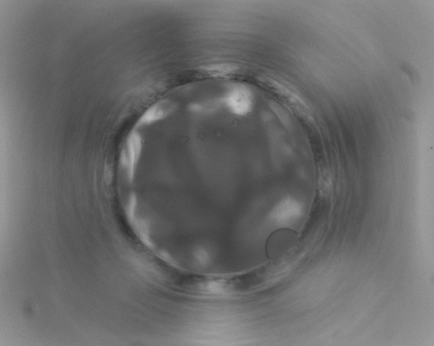 X0000115320365200911231355