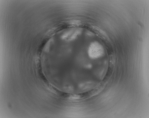 X0000115320369200911231355