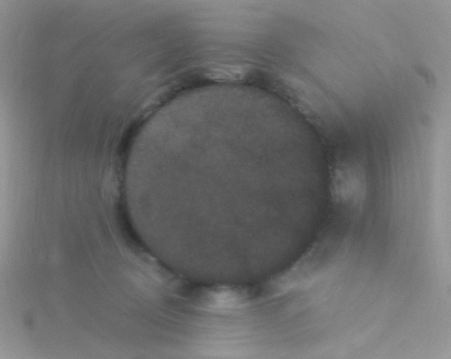 X0000115320370200911231356