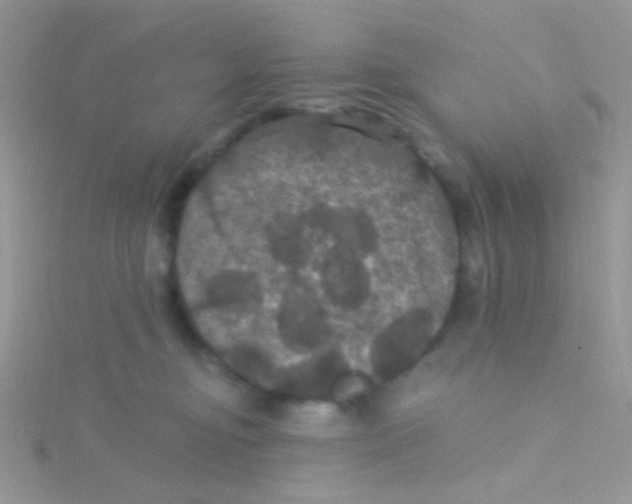 X0000115320374200911231356