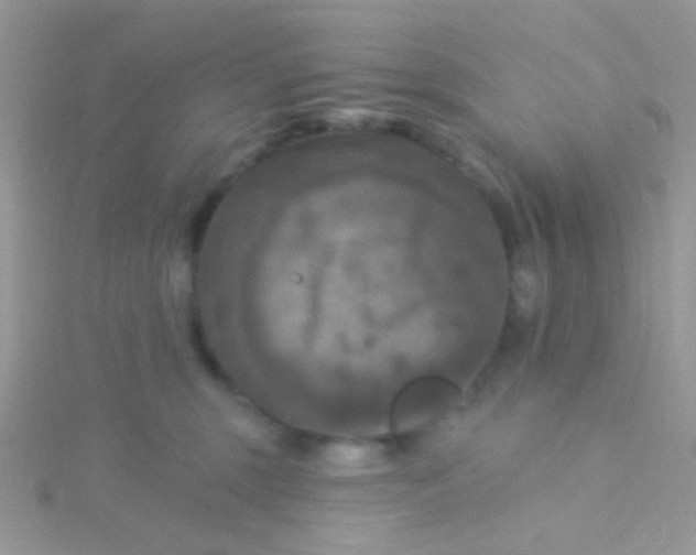 X0000115320375200911231356