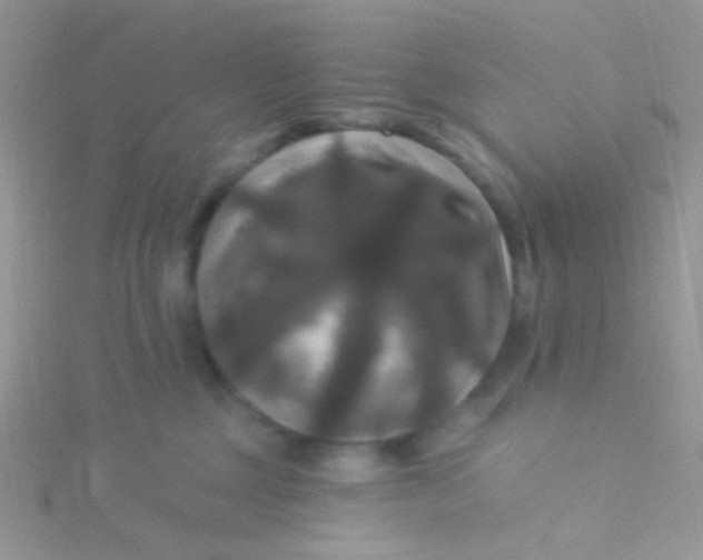 X0000115320377200911231356