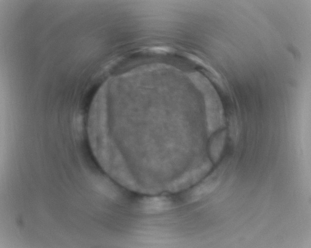 X0000115320378200911231356