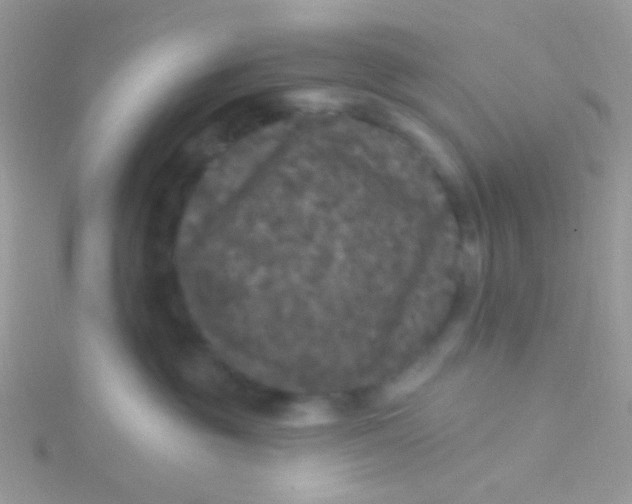 X0000115320381200911231356