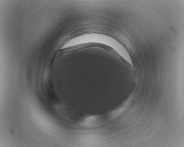 X0000115320382200911231356