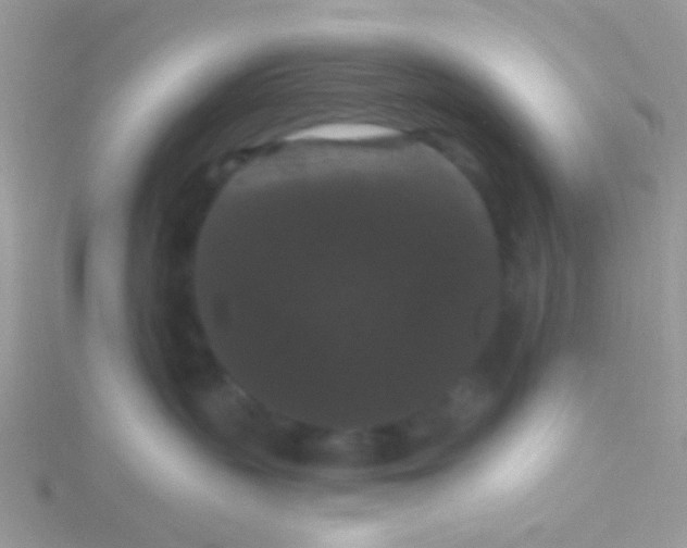 X0000115320383200911231356