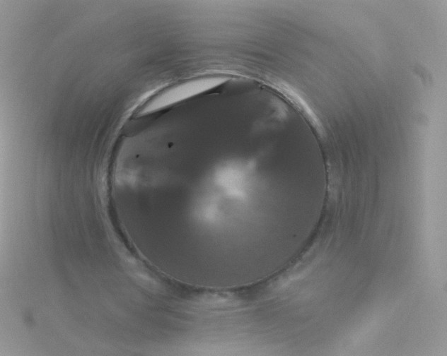 X0000115320386200911231355