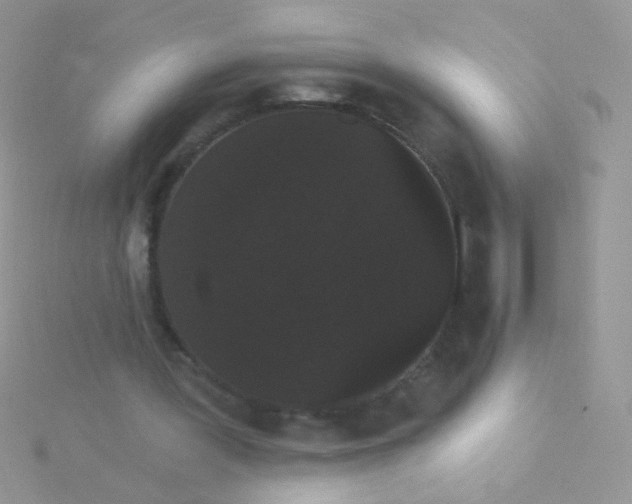 X0000115320387200911231355