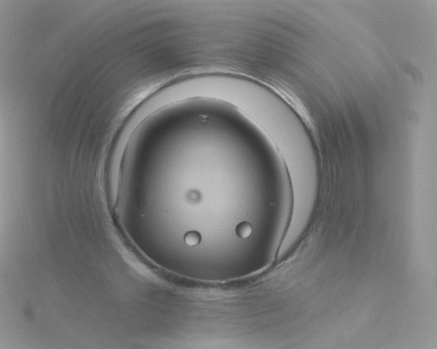 X0000115320389200911231355