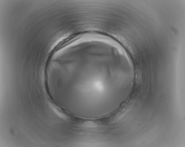 X0000115320390200911231355