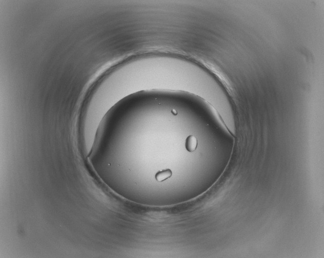 X0000115320391200911231355