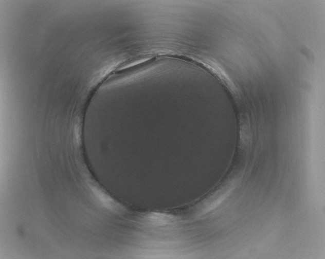 X0000115320393200911231355