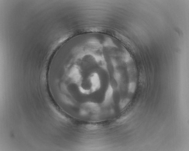 X0000115320394200911231355