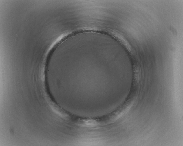 X0000115320395200911231355