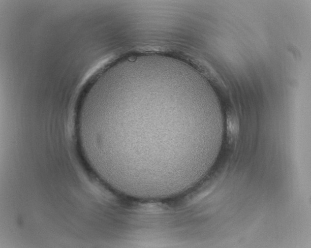 X0000115320396200911231355