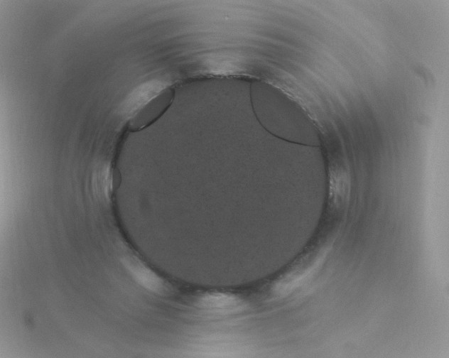 X0000115320397200911231355