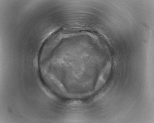 X0000115320398200911231355