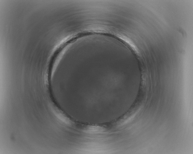 X0000115320399200911231355