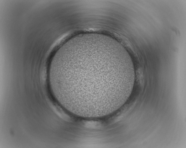 X0000115320400200911231355