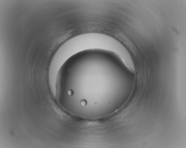 X0000115320401200911231355