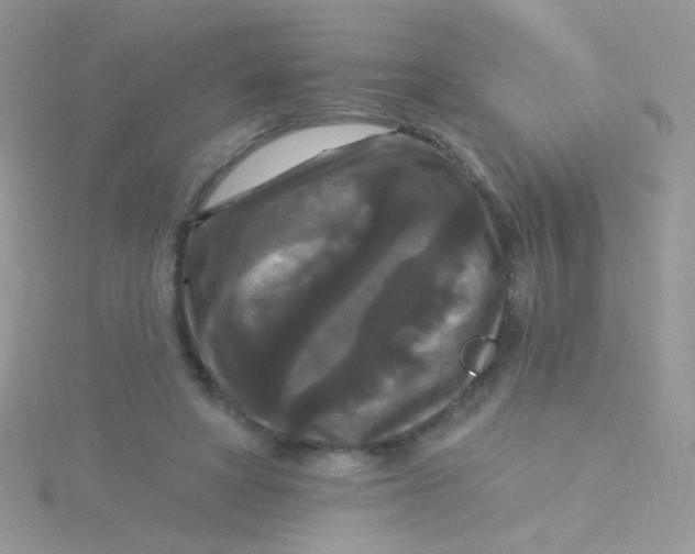 X0000115320402200911231355