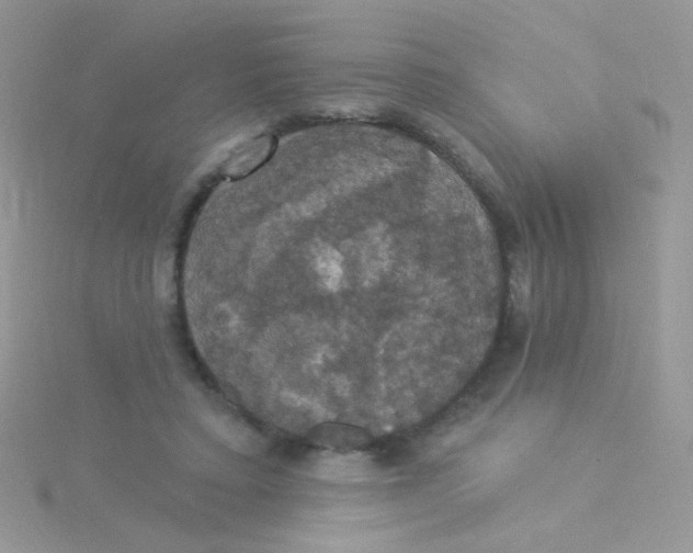 X0000115320403200911231355