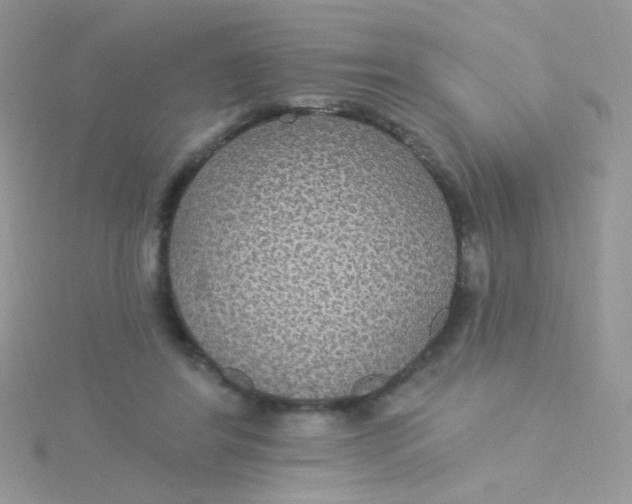 X0000115320404200911231355