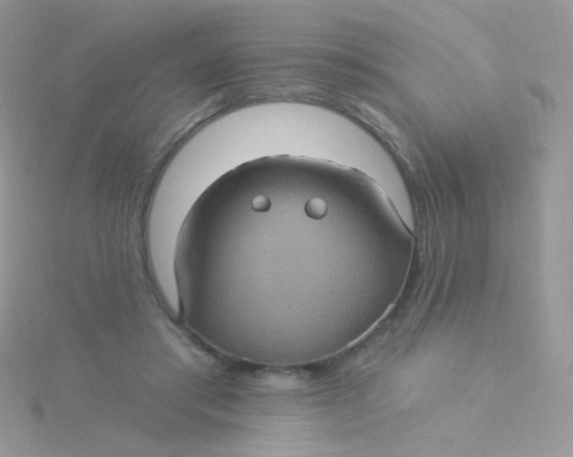 X0000115320405200911231355