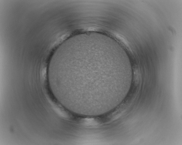 X0000115320406200911231355