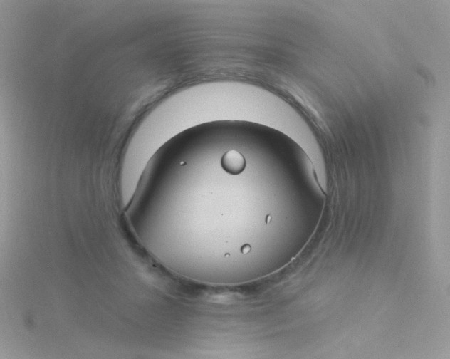 X0000115320407200911231355