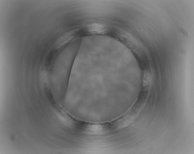 X0000115320409200911231355