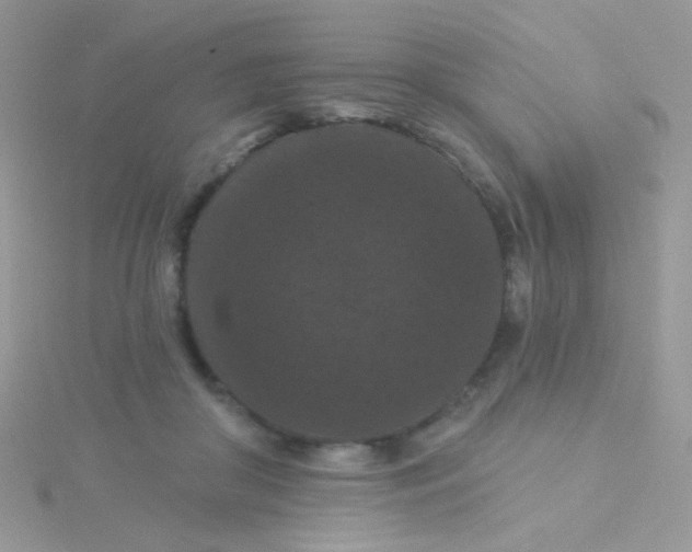 X0000115320410200911231355