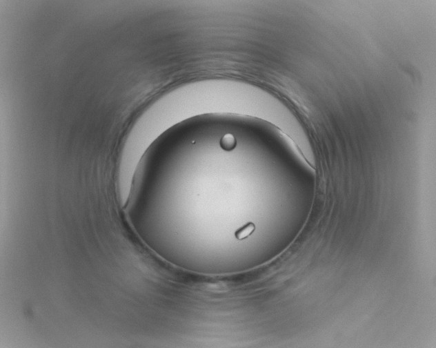 X0000115320411200911231355