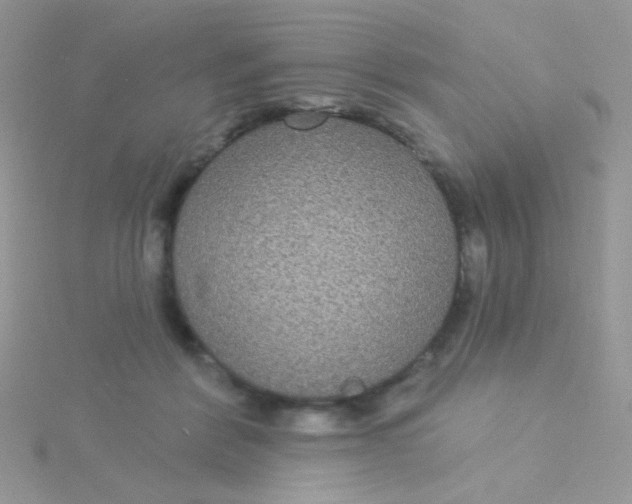 X0000115320412200911231355