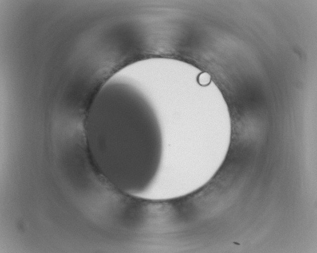 X0000115320415200911231355