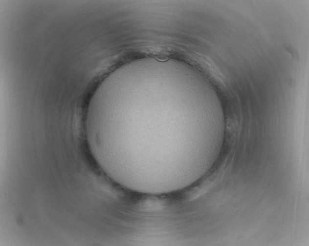 X0000115320416200911231355