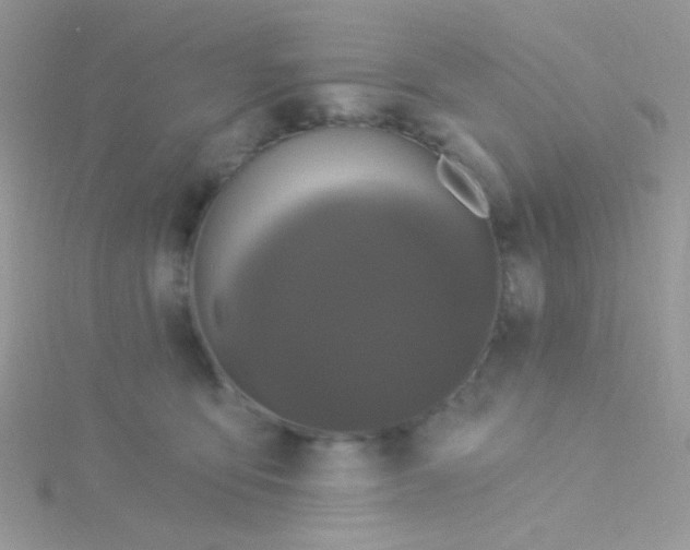 X0000115320419200911231354