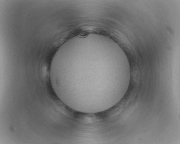 X0000115320420200911231354