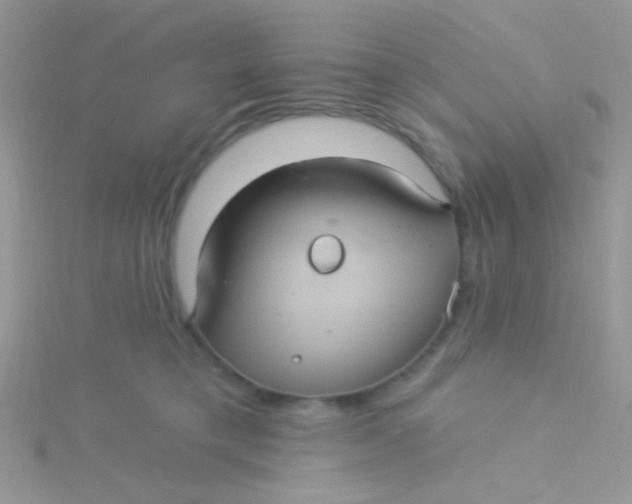 X0000115320421200911231354