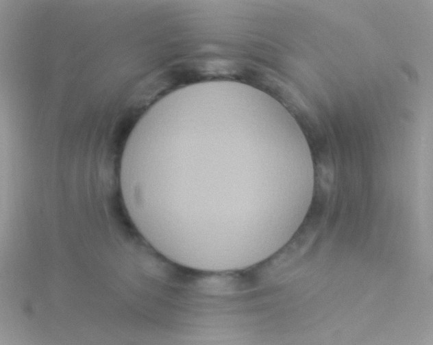 X0000115320422200911231354