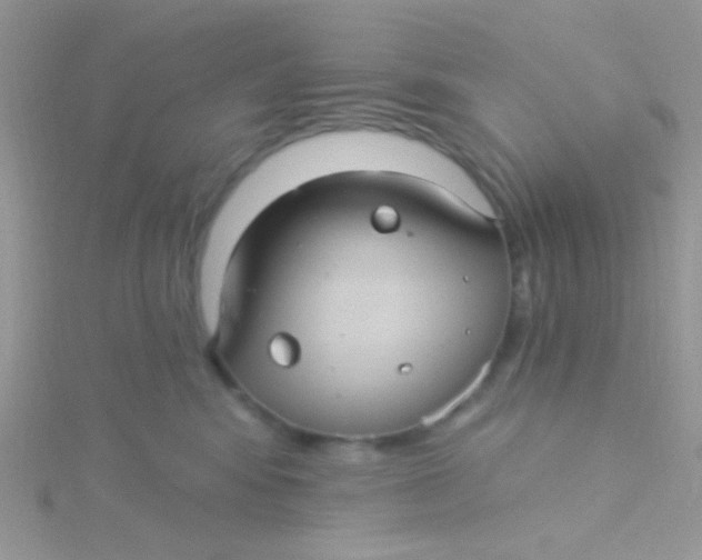 X0000115320424200911231354