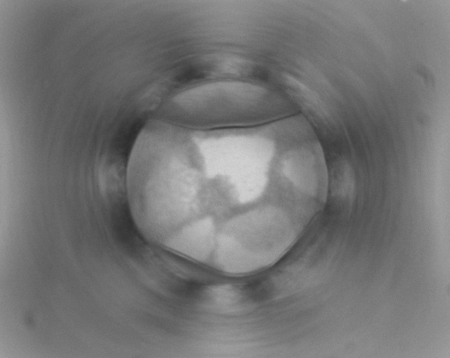 X0000115320425200911231354