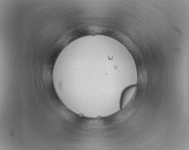 X0000115320426200911231354