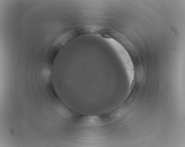 X0000115320427200911231354