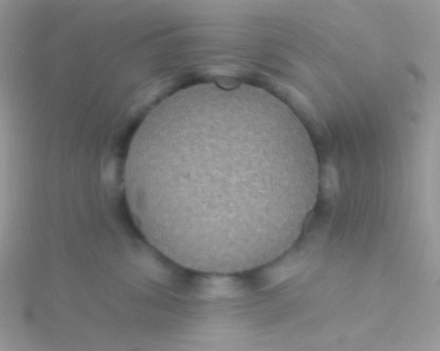 X0000115320428200911231354